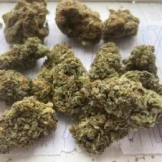 Стикер konoplyarityy - 6