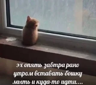 Sticker котики(!) - 4