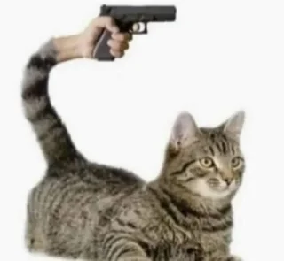 Sticker котики(!) - 3