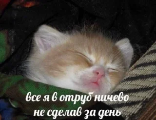 Sticker котики(!) - 9