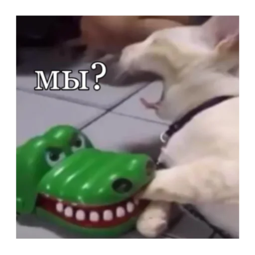 Стикер кты - 11