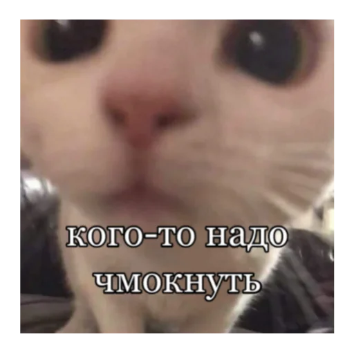 Стикер кты - 10