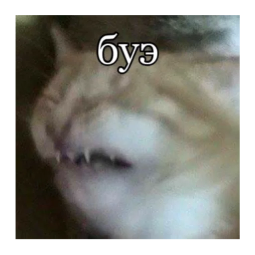 Стикер кты - 9