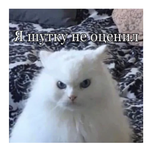 Стикер кты - 4