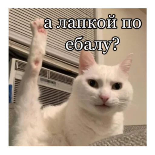 Стикер кты - 3