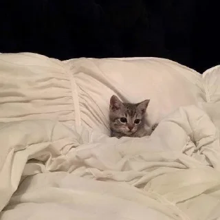 Стикер Кооссммоосс - 3