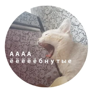 Sticker Мои кореша 2.0 - 1