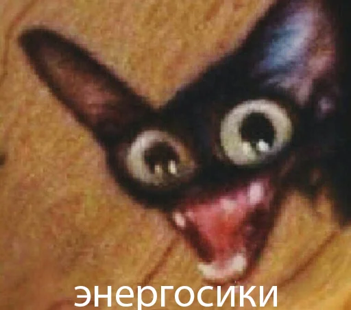 KorolevskiyMIX - млекопитающее