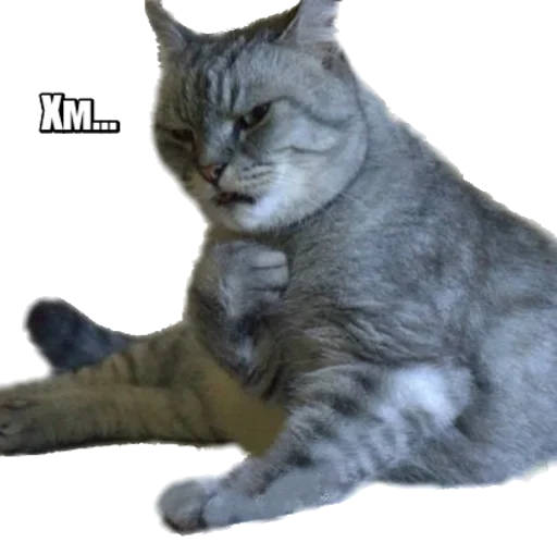 Sticker kosehk40 - 1