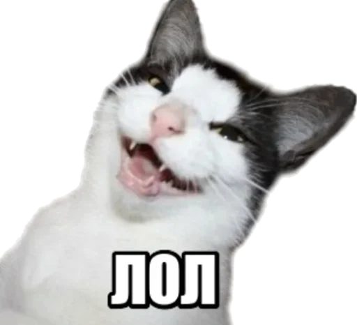 Sticker kosehk40 - 1