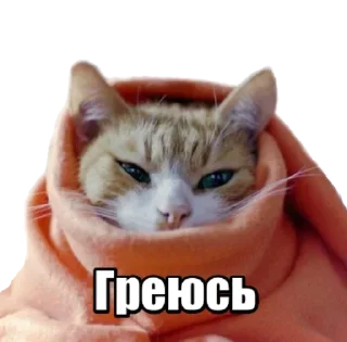 Sticker 40 кошек - 7