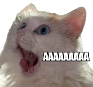 Sticker 40 кошек - 8