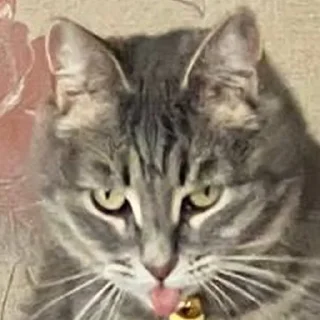 Стикер сладкая кощечка_ПК - 2