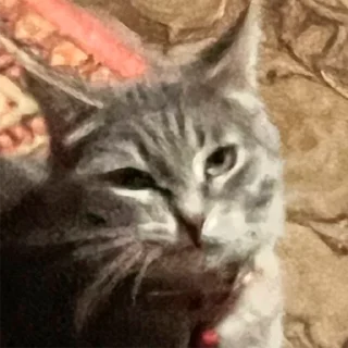 Стикер сладкая кощечка_ПК - 10