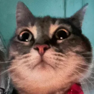 Стикер сладкая кощечка_ПК - 1