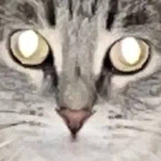 Стикер сладкая кощечка_ПК - 5