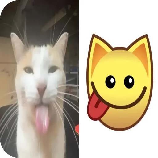 Sticker koshechki_lapochki - 1