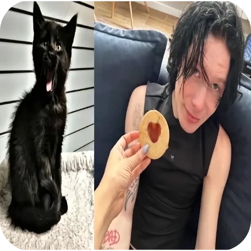 Sticker koshechki_lapochki - 1