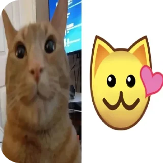 Стикер кошечки лапочки какащечки - 4