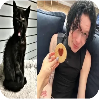 Стикер кошечки лапочки какащечки - 3