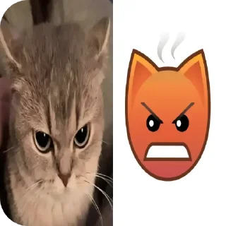 Стикер кошечки лапочки какащечки - 9