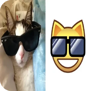 Стикер кошечки лапочки какащечки - 11