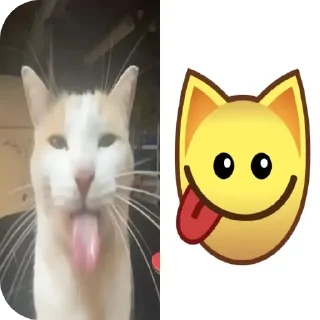 Стикер кошечки лапочки какащечки - 7
