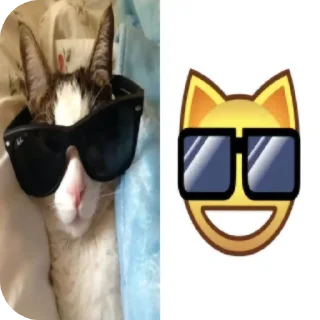 Стикер кошечки лапочки какащечки - 10