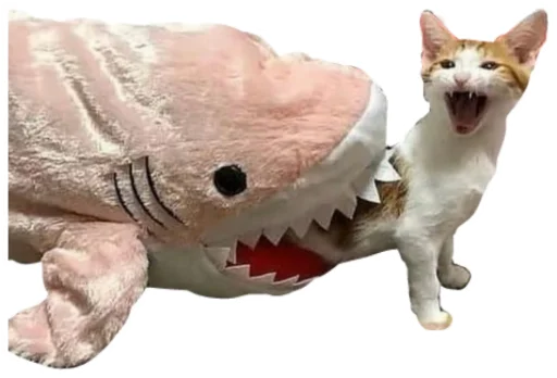 животное кошка фигура животного