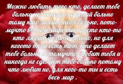 Стикер koshkiikoti - 1