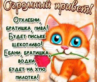 Стикер коты как смысл жизни @barashekbebebe - 8