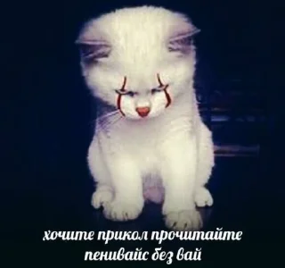 Стикер коты как смысл жизни @barashekbebebe - 1