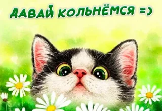 Стикер коты как смысл жизни @barashekbebebe - 10