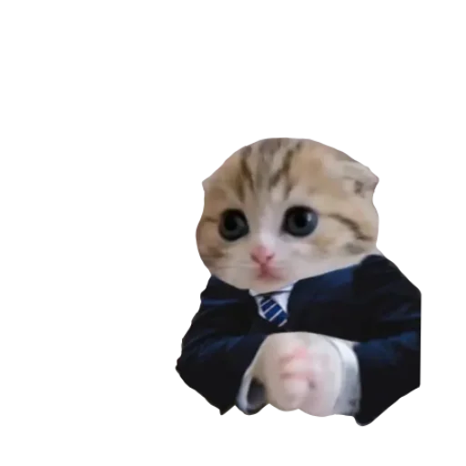 Sticker koshkinjata - 1