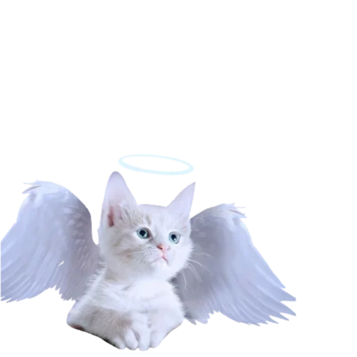 Sticker koshkinjata - 1