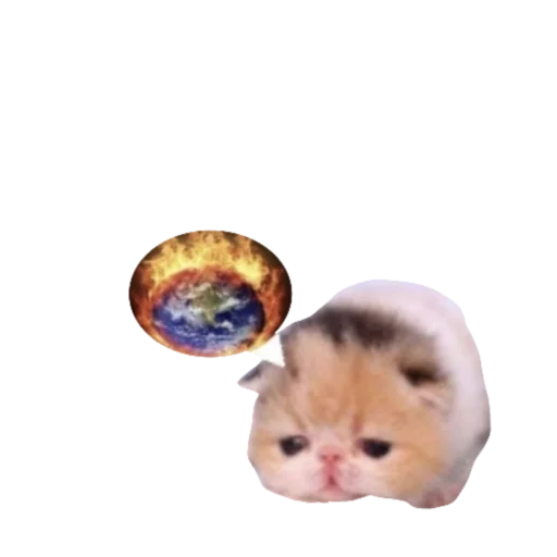 Sticker koshkinjata - 1