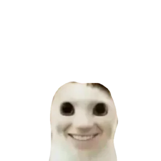 Sticker koshkinjata - 10