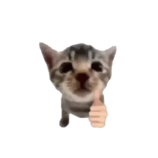 Sticker koshkinjata - 3