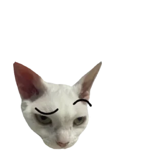 Sticker koshkinjata - 7