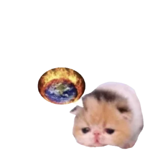 Sticker koshkinjata - 1