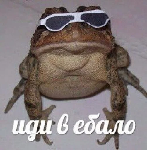 Sticker koshkodeffka - 1