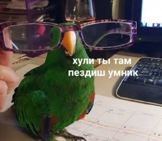 Стикер 666pack - 2