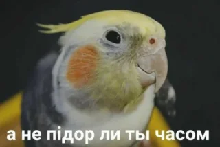 Стикер 666pack - 5