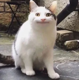 Стикер 666pack - 7