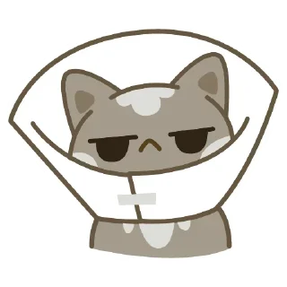 Sticker Cats @stickersb2b - 5