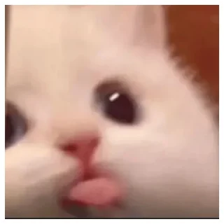 Стикер kost' - 4