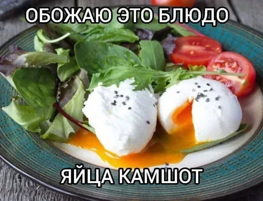 Sticker kot3h04ek - 1