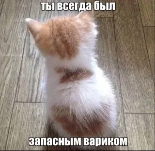 Стикер ^⁠_⁠_⁠_⁠^ @KOT3HO4EK - 6