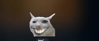 Стикер Кот @TgEmodziBot - 3