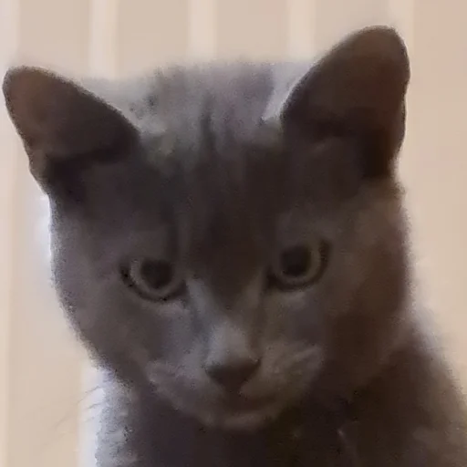 Sticker мои и ваши - 11